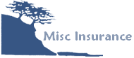 Misc Insurance