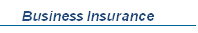 Business Insurance