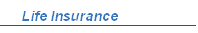 Life Insurance