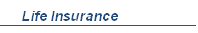 Life Insurance