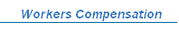Workers Compensation
